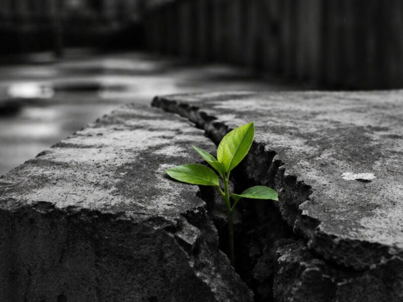 Kaizen για μικρές επιχειρήσεις: η σταδιακή βελτίωση σπάει και τα μεγαλύτερα εμπόδια